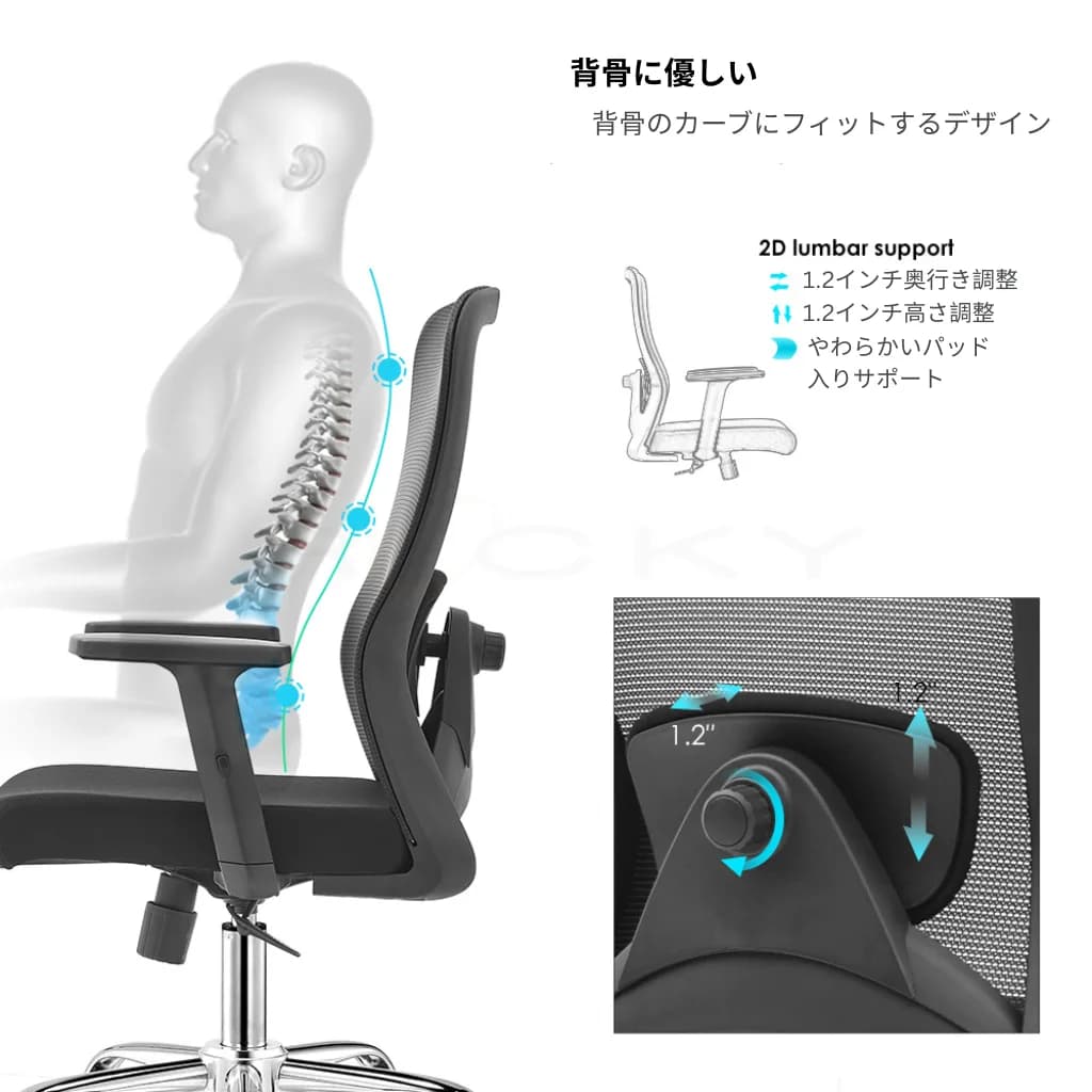 B-9012の2Dランバーサポート機能を示す図。透明な人体の上半身が脊椎の整列を示しています。