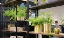 ชั้นวางของ ช่วยจัดระเบียบบ้านให้สวยสะอาดตา ชั้นวางของ ช่วยจัดระเบียบบ้านให้สวยสะอาดตา